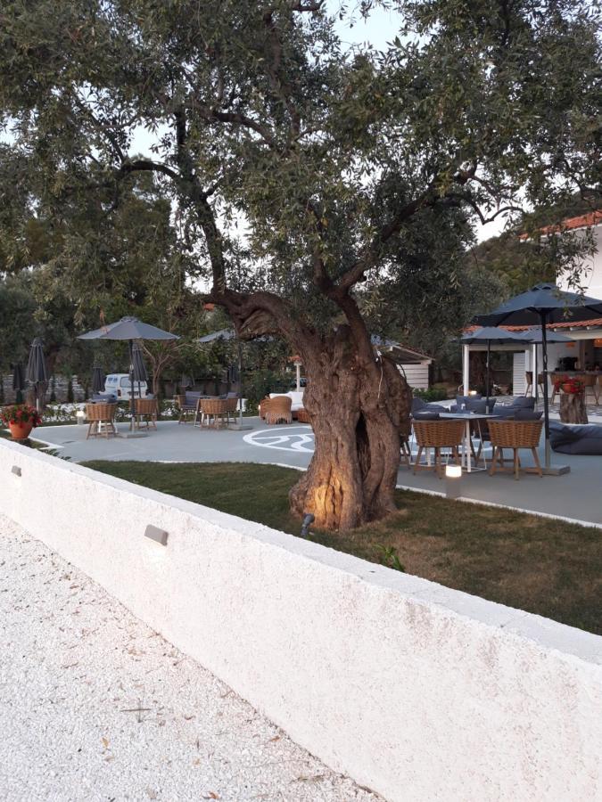Orama Thassos Hotel Skala Sotiros Exterior foto